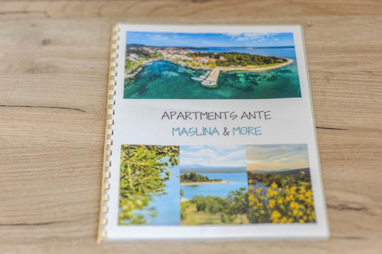 Apartman Maslina 시베니크 외부 사진
